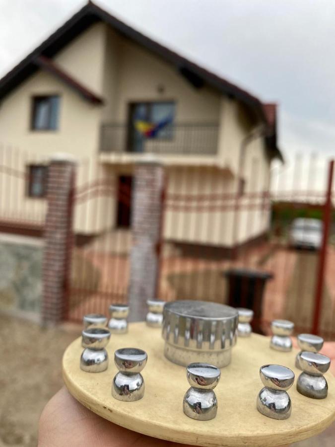 Ferienwohnung Casa Brancusiana Târgu Jiu Exterior foto