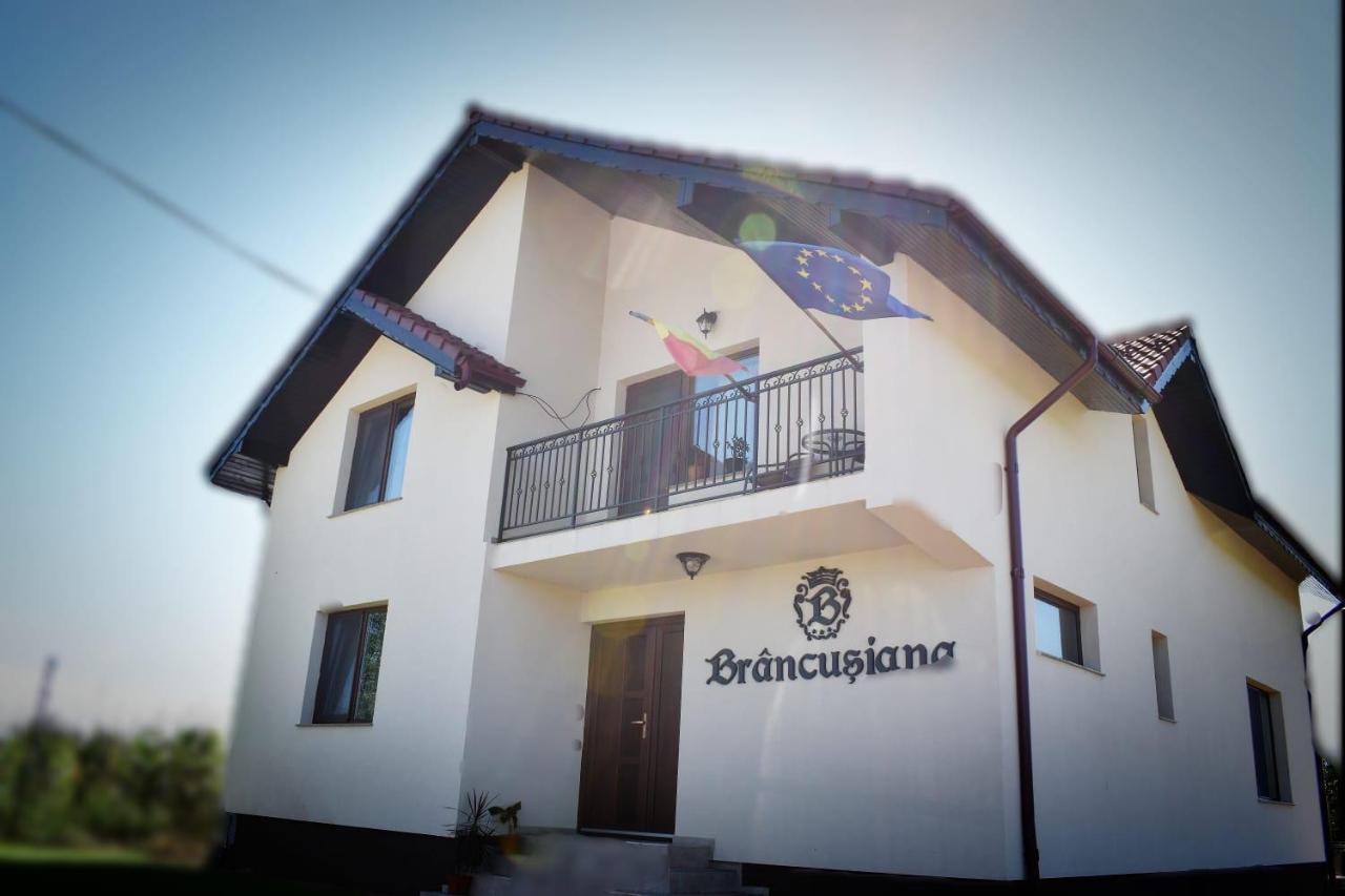 Ferienwohnung Casa Brancusiana Târgu Jiu Exterior foto