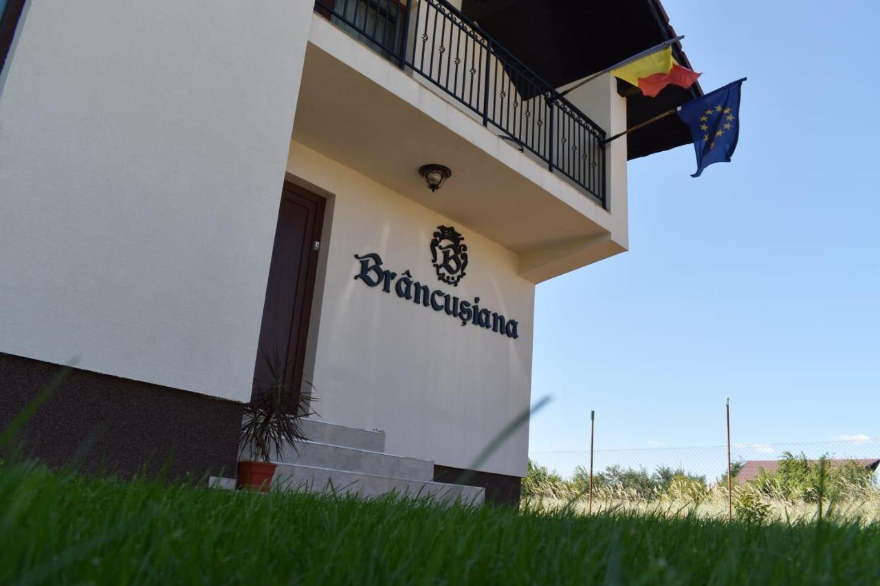 Ferienwohnung Casa Brancusiana Târgu Jiu Exterior foto